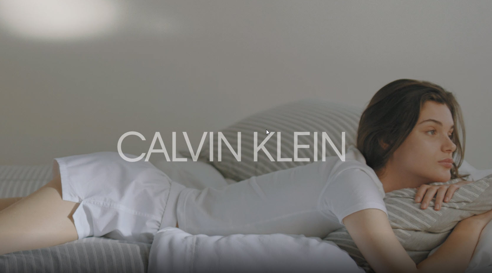 カナダ限定 カルバンクライン 枕 カナダ限定 カルバンクライン 枕